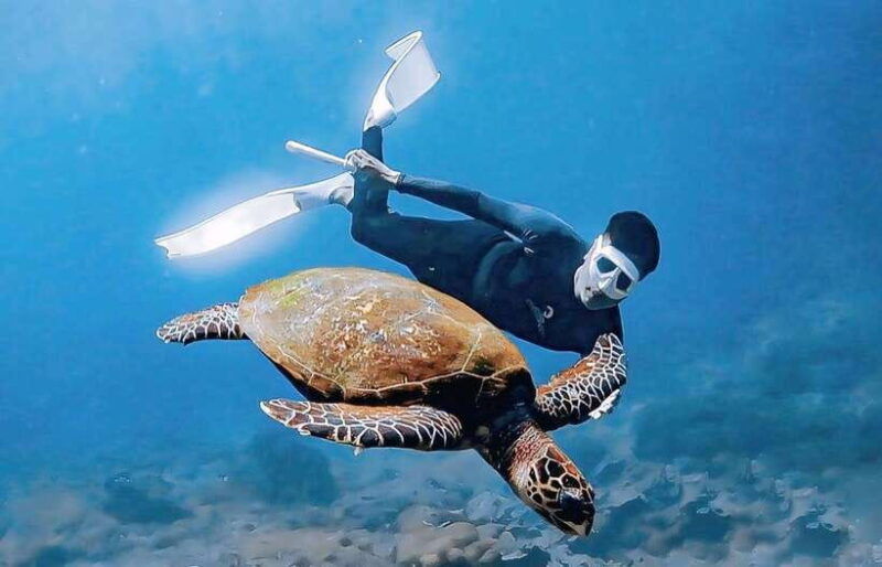 exclusive-4-secret-gilis-petagan-bidara-kapal-and-kondo