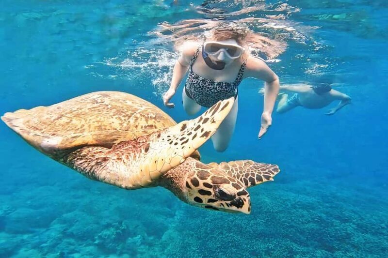 Exclusive 5 Secret Gilis: Snorkeling & Island Hopping - Exploring the Exclusive 5 Secret Gilis: Snorkeling & Island Hopping