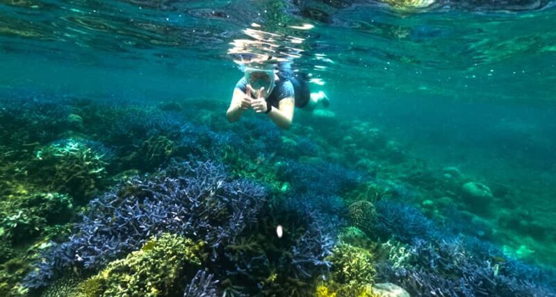 Exclusive 5 Secret Gilis: Snorkeling & Island Hopping - What Makes This Tour Stand Out?