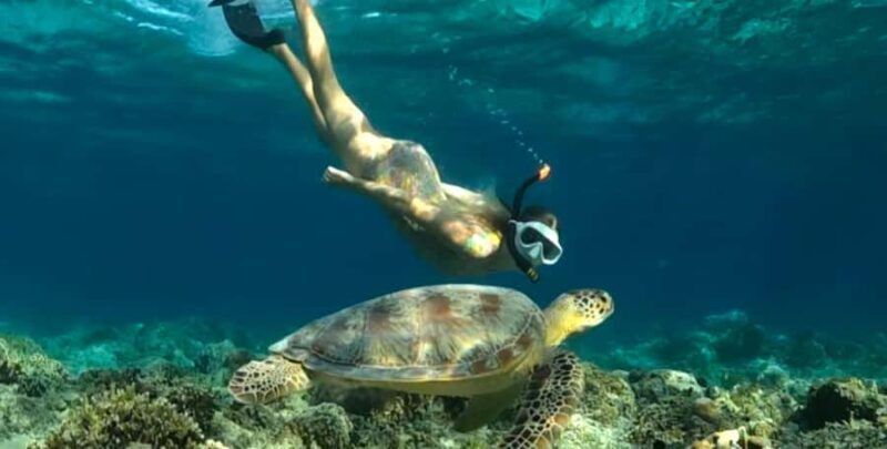 Exclusive 5 Secret Gilis: Snorkeling & Island Hopping - Final Thoughts: Worth the Splash?