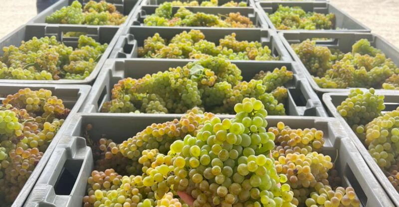 exclusive-5-wine-tasting