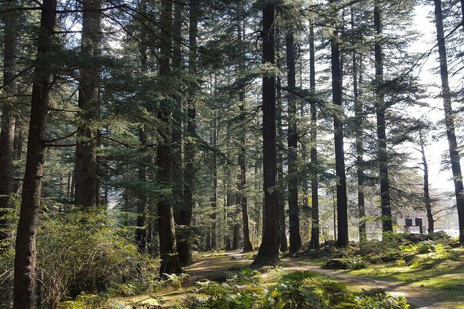 Exclusive 6-Hour Private Manali & Solang Valley Tour - Analyzing the Value