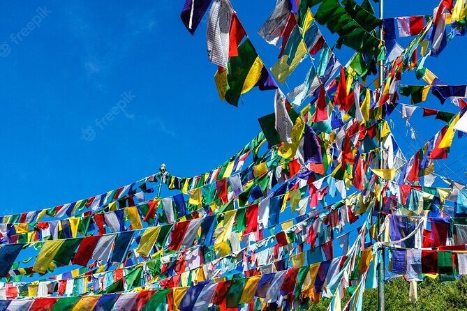 Exclusive 6-Hour Private Manali & Solang Valley Tour - Who Should Consider This Tour?