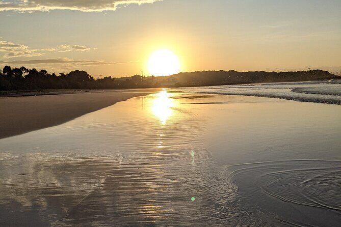Exclusive 8 Day Heritage, Nature and Beaches Journey in Sri Lanka - Day 3: Kandy’s Sacred Heart and Botanical Gardens