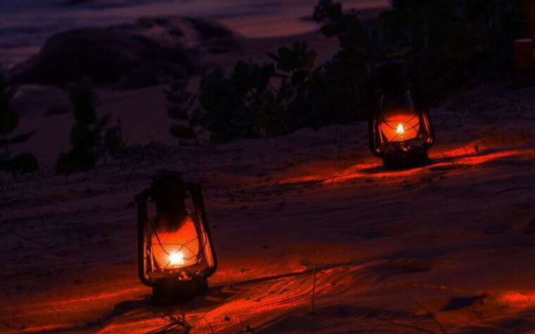 exclusive-afternoon-yala-safari-with-beach-bbq-dinner