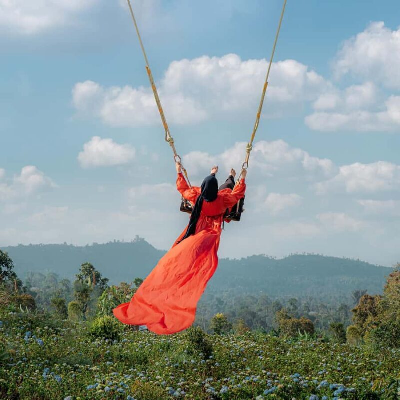 Exclusive Bali Highlights Tour from Celukan Bawang Port - Key Points