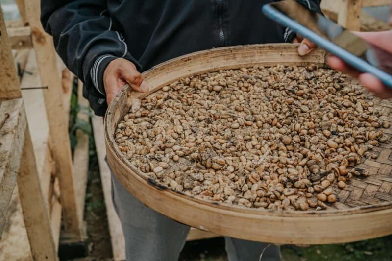 Exclusive Bali Highlights Tour from Celukan Bawang Port - The Itinerary Breakdown: From Port to Bali’s Best