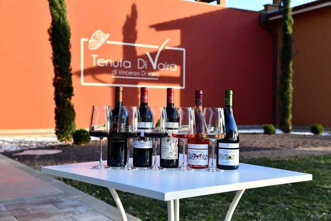 exclusive-bolgheri-from-florence-the-land-of-the-super-tuscan