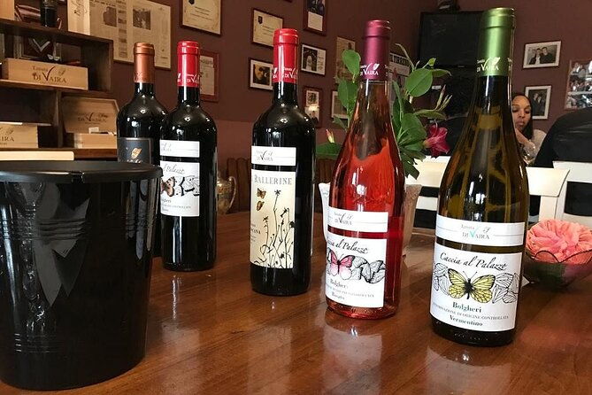 exclusive-bolgheri-from-florence-the-land-of-the-super-tuscan