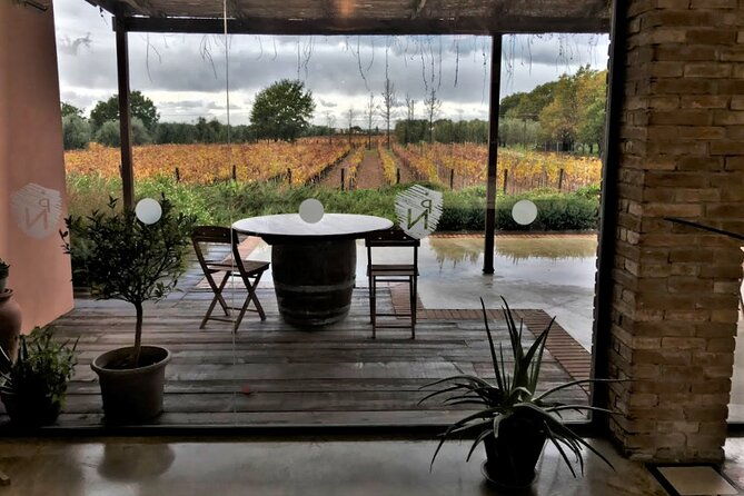 exclusive-bolgheri-from-florence-the-land-of-the-super-tuscan