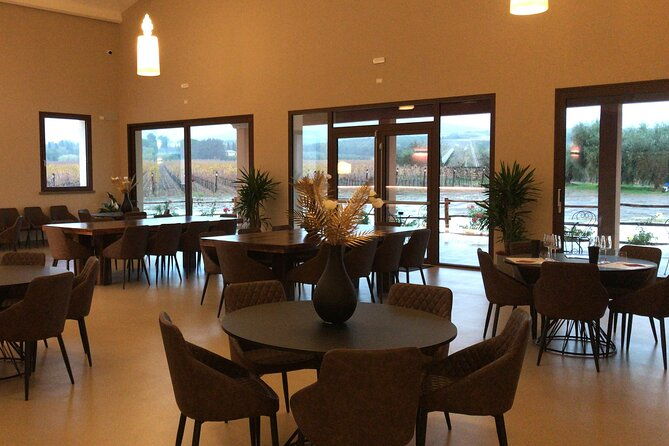 exclusive-bolgheri-from-florence-the-land-of-the-super-tuscan