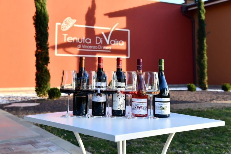 exclusive-bolgheri-full-day-wine-tour-from-florence