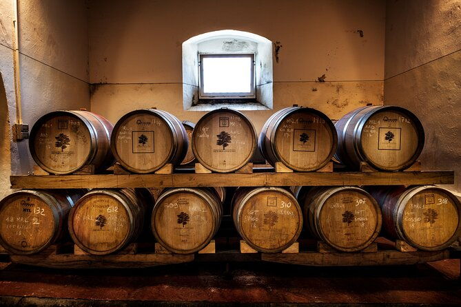 exclusive-chianti-rufina-half-day-tour-with-lunch-from-florence