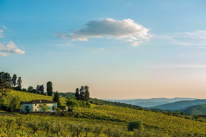 exclusive-chianti-rufina-half-day-tour-with-lunch-from-florence