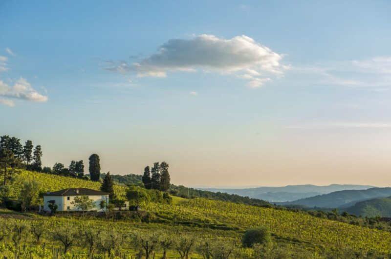 exclusive-chianti-rufina-half-day-with-lunch-from-florence