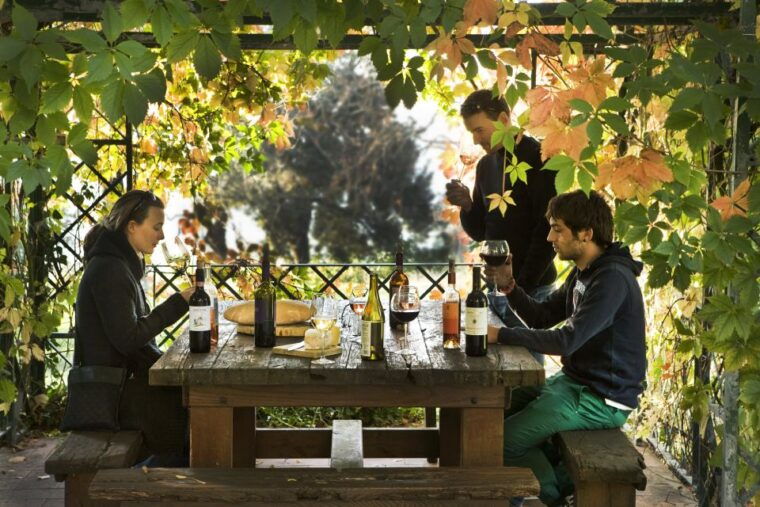 exclusive-chianti-rufina-half-day-with-lunch-from-florence