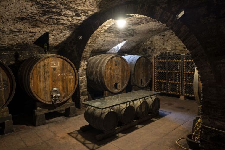 exclusive-chianti-rufina-half-day-with-lunch-from-florence
