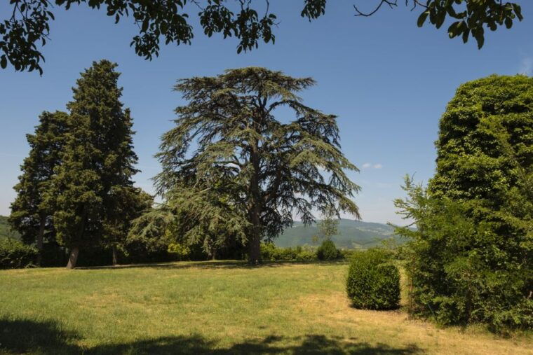 exclusive-chianti-rufina-half-day-with-lunch-from-florence