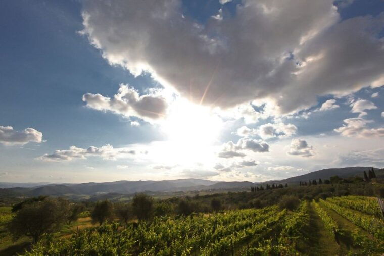 exclusive-chianti-rufina-half-day-with-lunch-from-florence