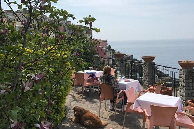 exclusive-cinque-terre-by-ferry-with-stop-in-pisa-from-florence