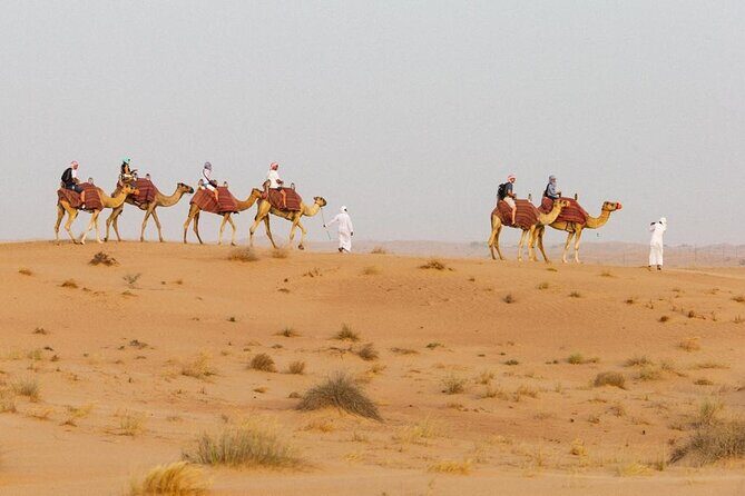 Exclusive Desert Safari with BBQ, Camel Ride & Traditional Show - Why This Tour Is Worth the Price