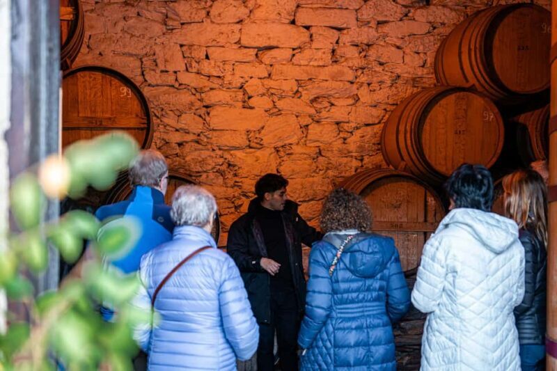 Exclusive Douro Valley: 3 Wineries, 9 Wine Tastings & Lunch - Who Will Love This Tour?