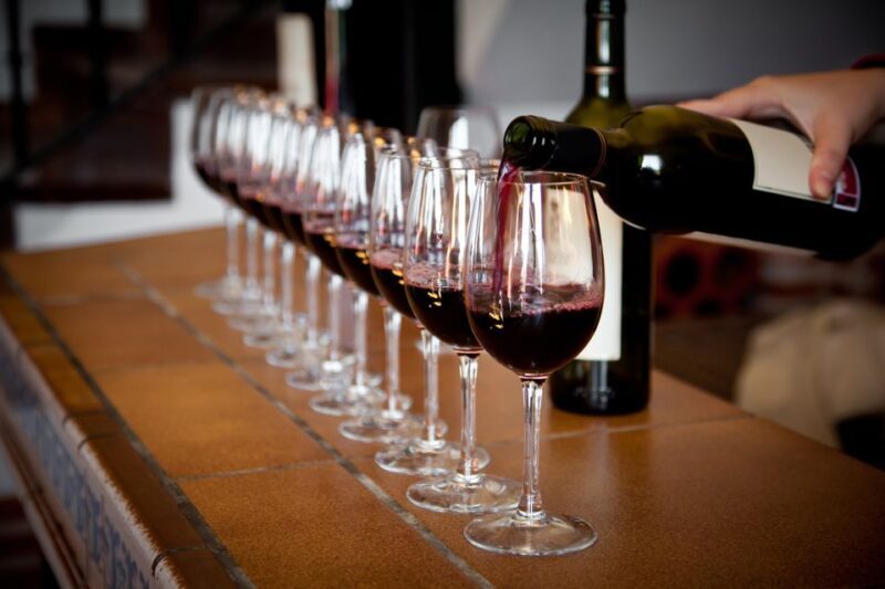 Exclusive Douro Valley: 3 Wineries, 9 Wine Tastings & Lunch - Final Thoughts