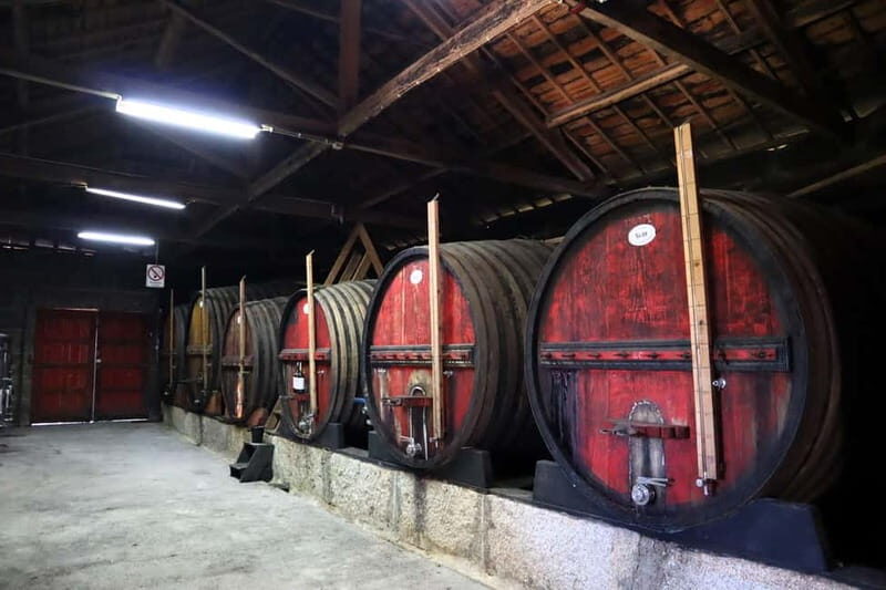 Exclusive Douro Valley: 3 Wineries, 9 Wine Tastings & Lunch - The Experience in Detail