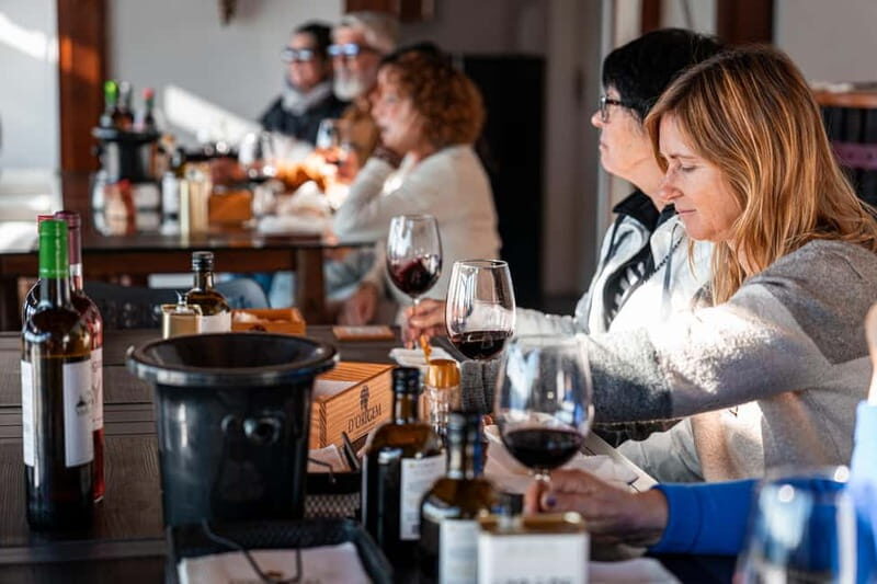 Exclusive Douro Valley: 3 Wineries, 9 Wine Tastings & Lunch - Who Is This Tour Best For?
