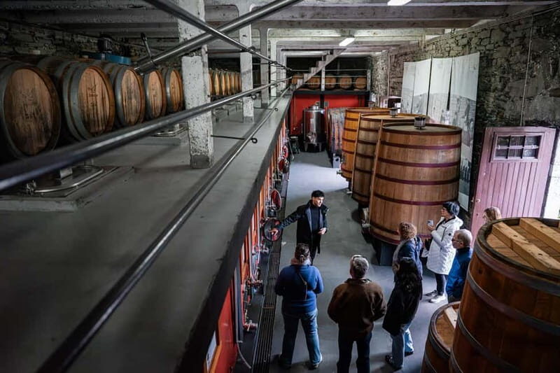 Exclusive Douro Valley: 3 Wineries, 9 Wine Tastings & Lunch - FAQ