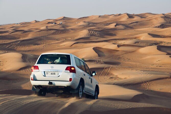 Exclusive Evening Desert Safari - Who Is This Tour Best Suited For?