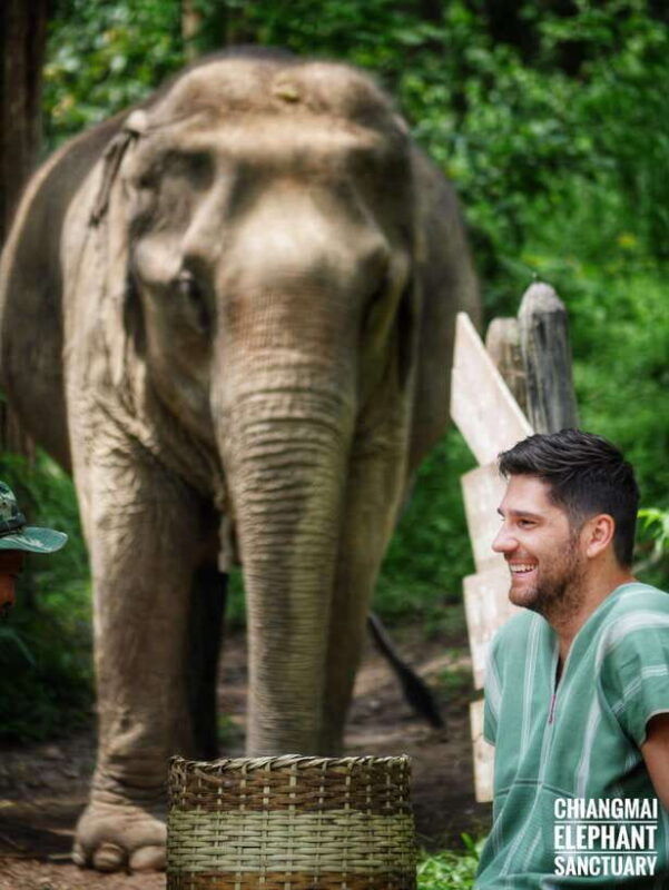 exclusive-experience-half-day-with-family-giant-animals