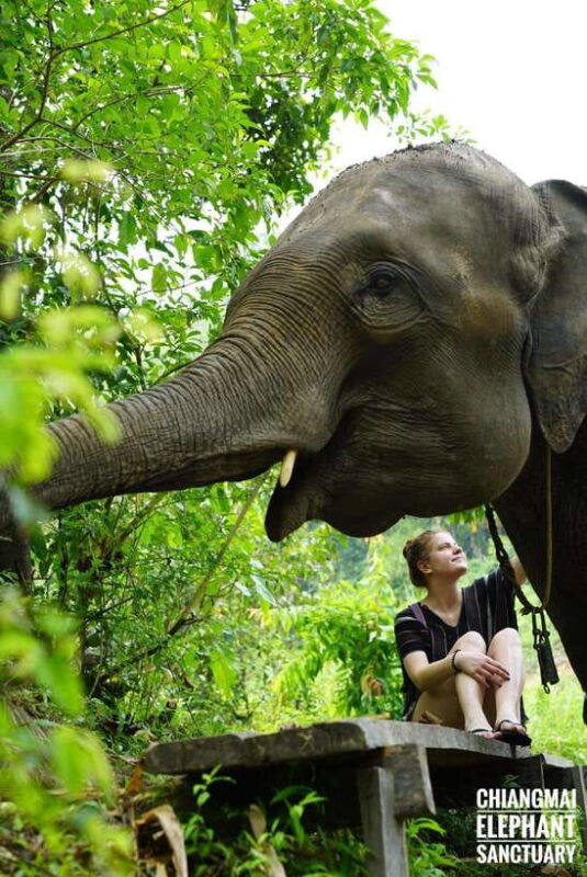 exclusive-experience-half-day-with-family-giant-animals