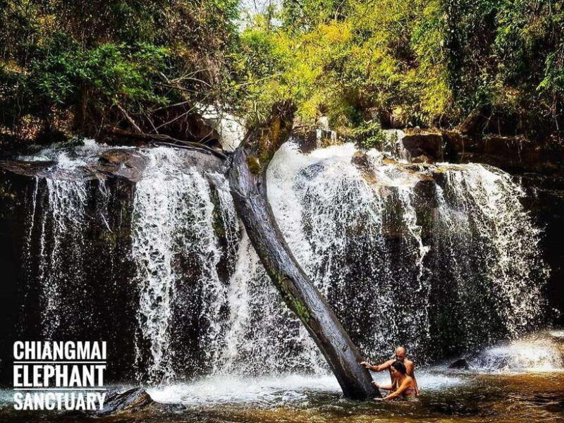 exclusive-experience-half-day-with-family-giant-animals