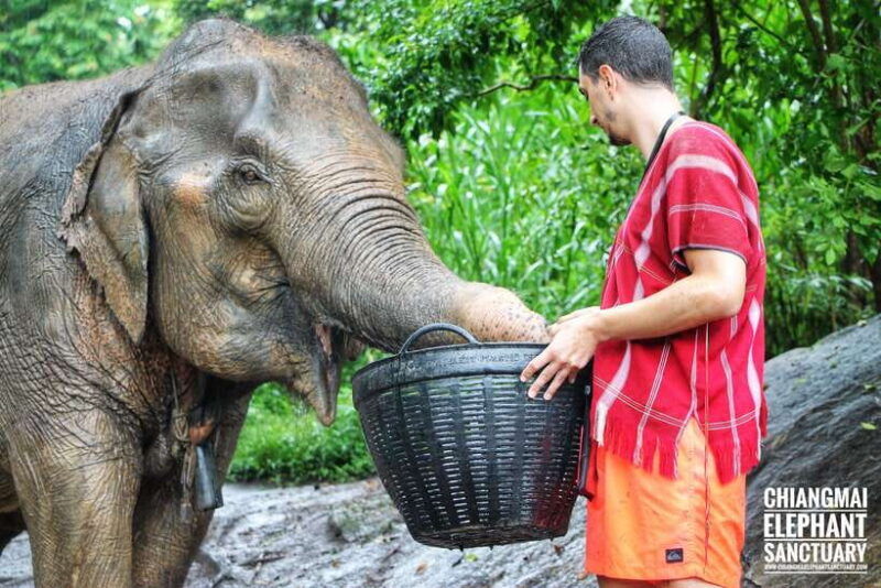 exclusive-experience-half-day-with-family-giant-animals