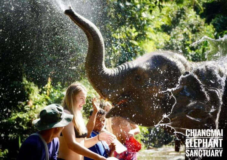 exclusive-experience-half-day-with-family-giant-animals