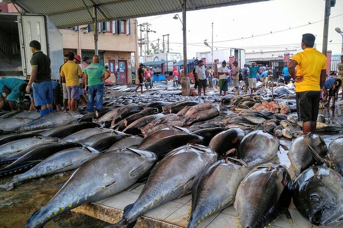 Exclusive: Explore Negombo Treasures by Tuk-Tuk - Why Choose the Negombo Tuk-Tuk Tour?