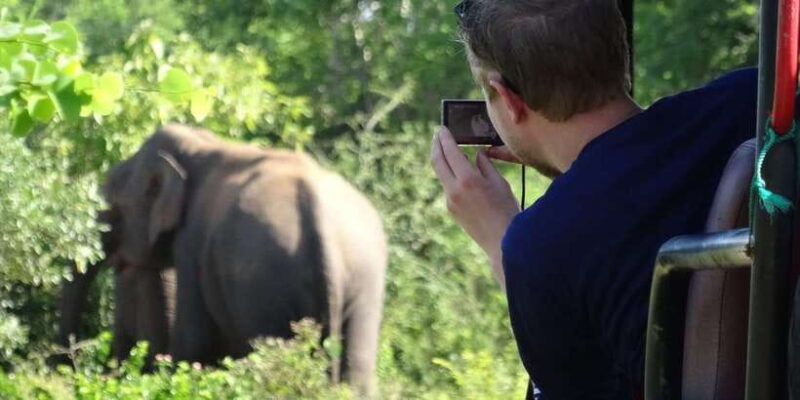 exclusive-full-day-leopard-safari-yala-with-picnic-lunch