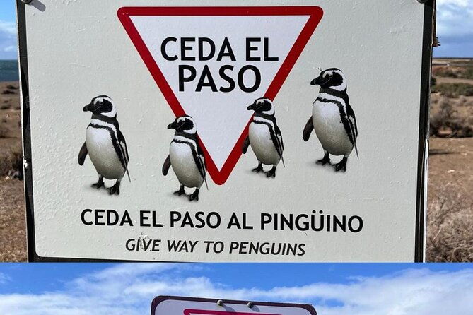 exclusive-full-day-tour-penguin-colony-in-punta-tombo-from-madryn