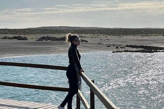 exclusive-full-day-tour-penguin-colony-in-punta-tombo-from-madryn