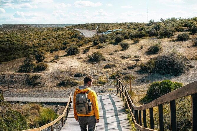 exclusive-full-day-tour-penguin-colony-in-punta-tombo-from-madryn