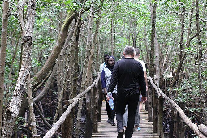 Exclusive Full-Day Zanzibar Adventure: Jozani Forest, Hidden Gems - Practical Considerations for Travelers