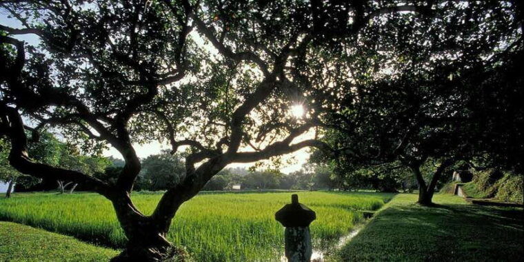 exclusive-geoffrey-bawa-country-estate-tour