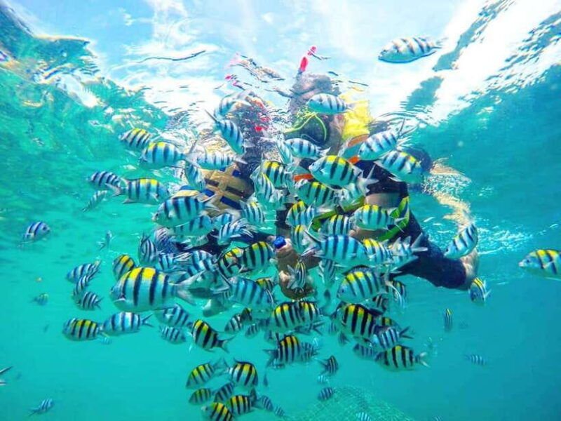 exclusive-gili-nanggu-sudak-and-kedis-tour-featuring-gopro