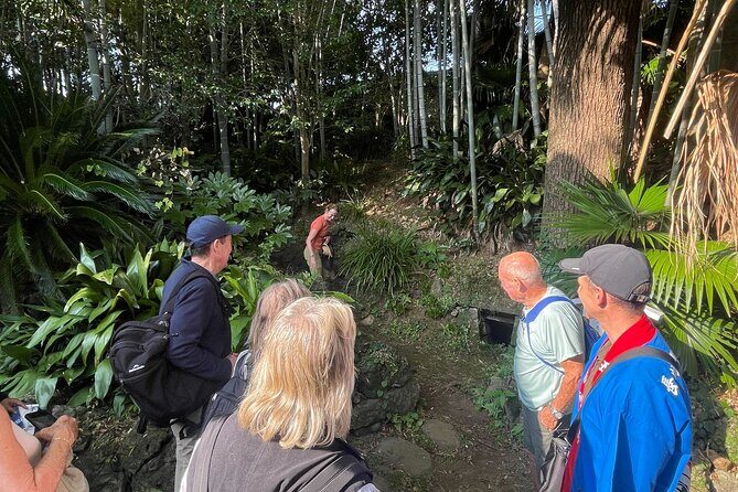 Exclusive Guided Tour: Fukue Castle, Japans Last Sea Castle - Final Thoughts