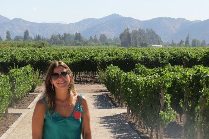 exclusive-half-day-tour-of-winerie-concha-y-toro-from-santiago