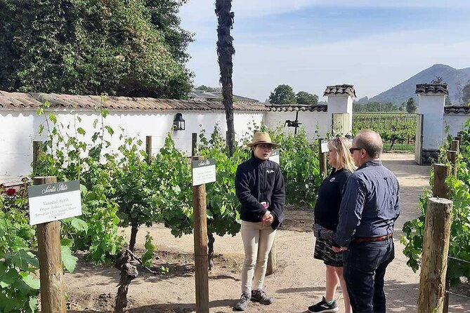 exclusive-half-day-tour-of-winerie-concha-y-toro-from-santiago