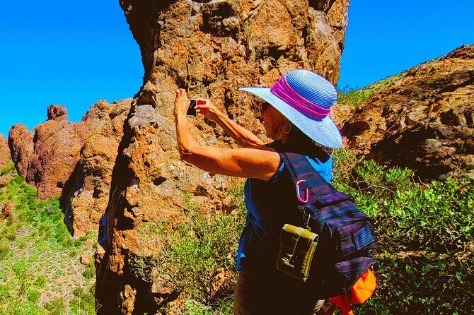 Exclusive: Happy Cactus Tour to Apache Trail & Superstition Mtn - Physical Fitness