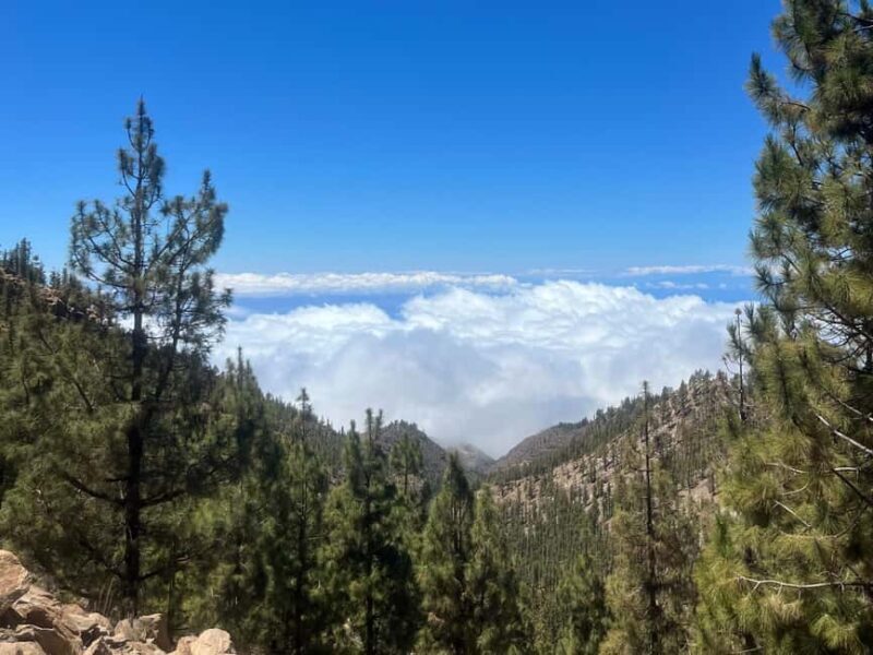 Exclusive hike on Mount Teide with a certified guide - Additional Experiences and Comparisons