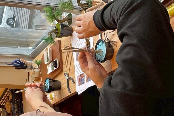 Exclusive Kanazawa Craft Bonsai Experience with Black Tile Pot - What to Expect from the Kanazawa Craft Bonsai Experience